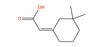 (Z)-3,3-Dimethylcyclohexane-delta1,alpha-acetic acid